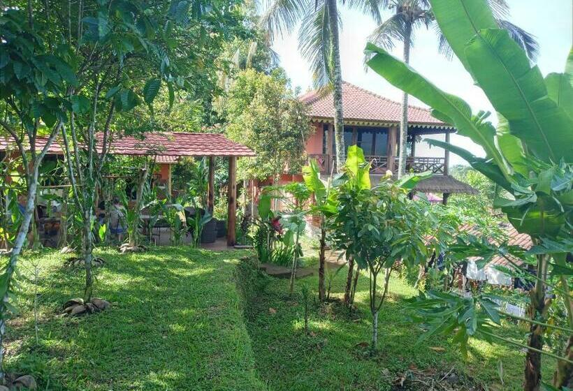 بنسيون Hidden Paradise