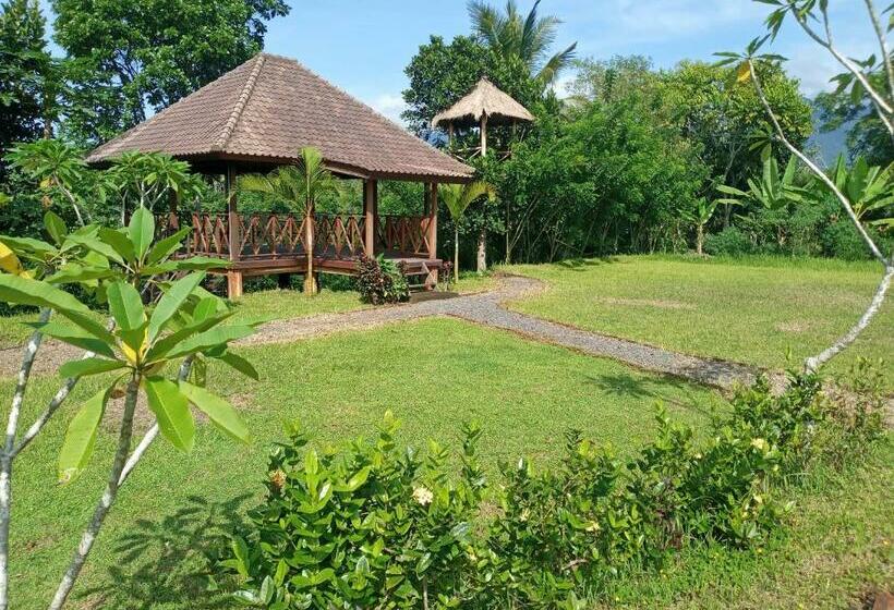 بنسيون Hidden Paradise