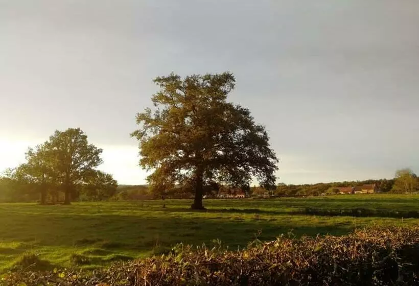 Majatalo Maison D Hôtes Trip N Touille