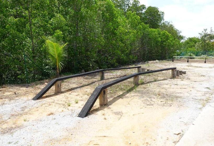 Senta Adventure Camp & Resort