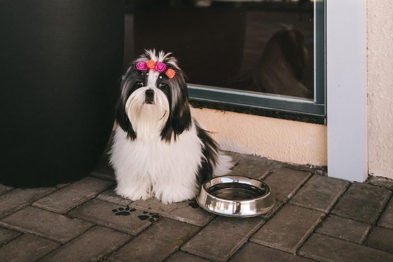 Отель 10 Sao Leopoldo