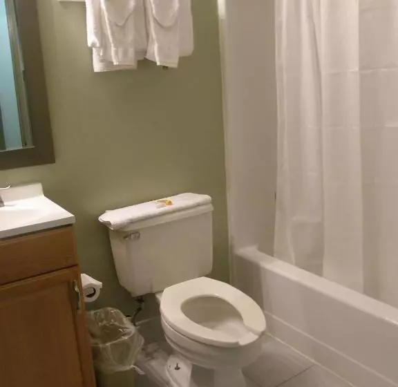 ホテル Americas Best Value Inn Stone Mountain Atlanta E