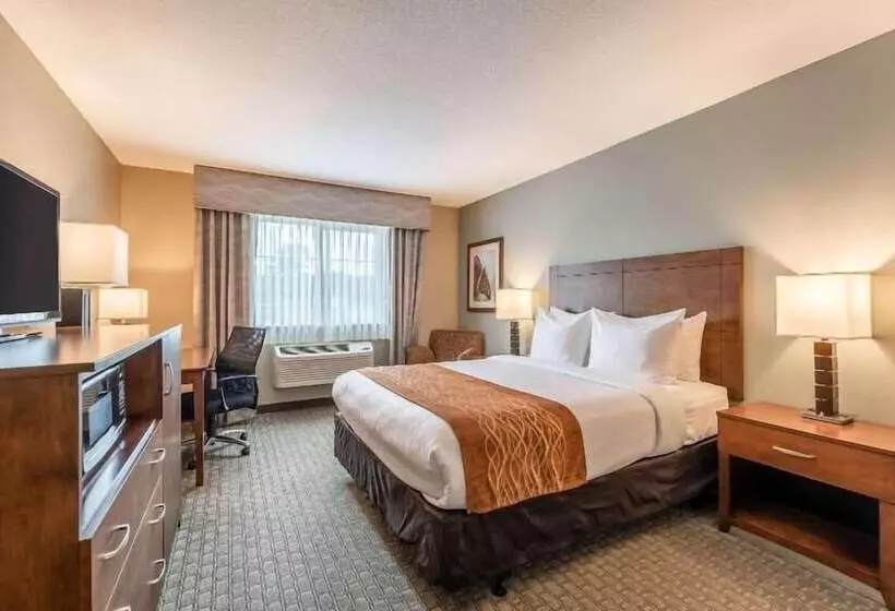 호텔 Amerivu Inn And Suites  Chisago City