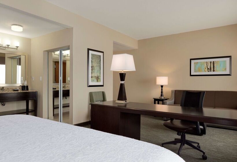 هتل Hampton Inn & Suites Parkersburg Downtown