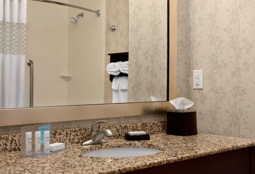 هتل Hampton Inn & Suites Parkersburg Downtown