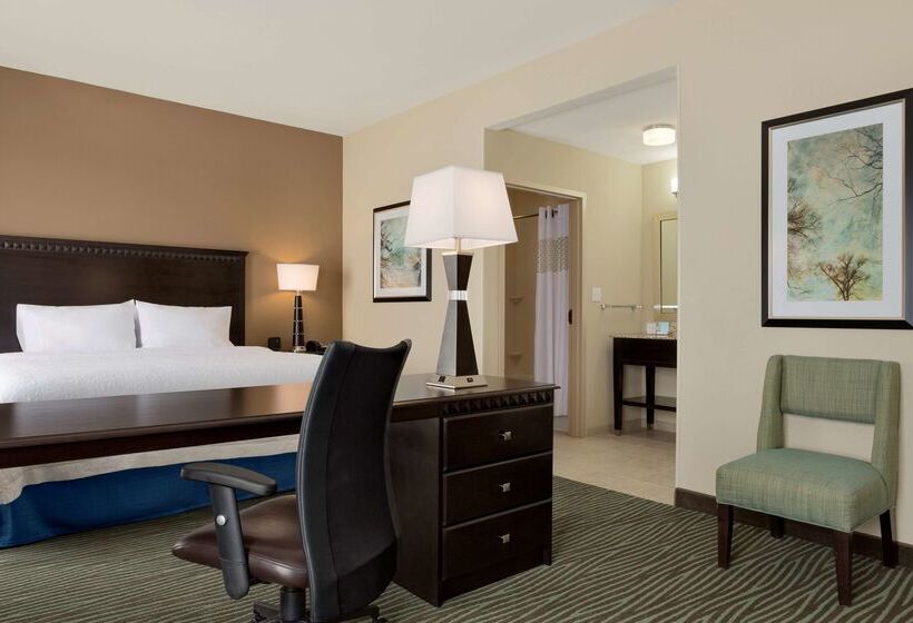هتل Hampton Inn & Suites Parkersburg Downtown