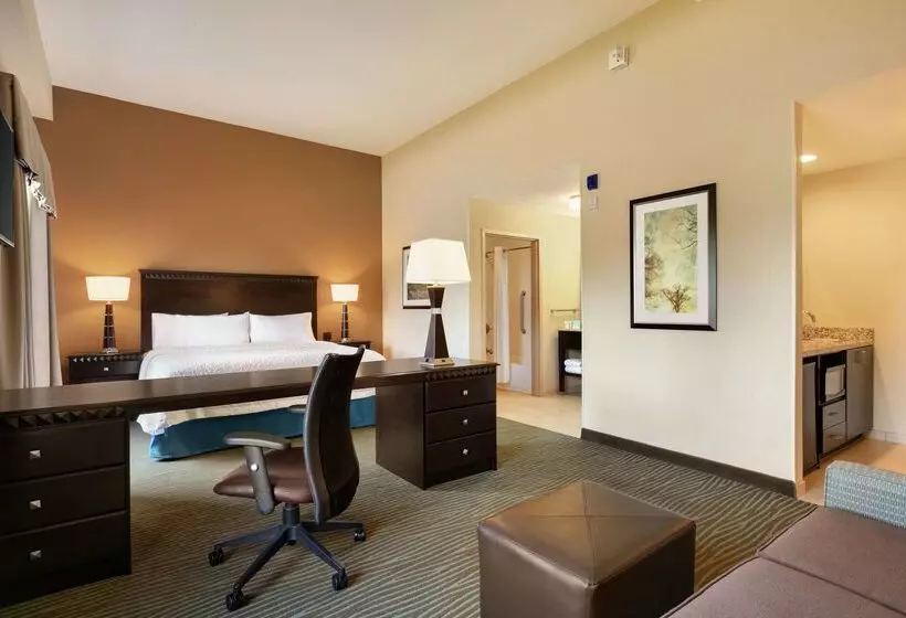 Отель Hampton Inn & Suites Parkersburg Downtown