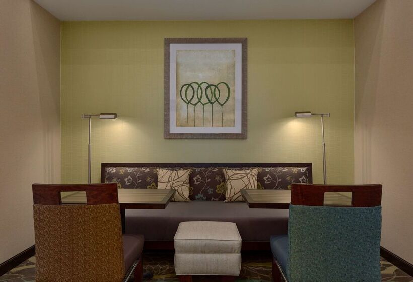 هتل Hampton Inn & Suites Parkersburg Downtown