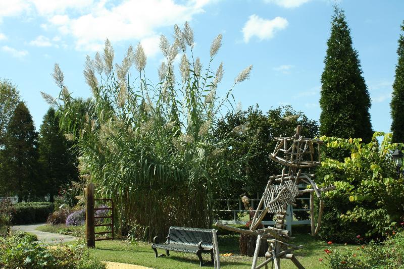 호텔 Holiday Inn Owensboro Riverfront, An Ihg