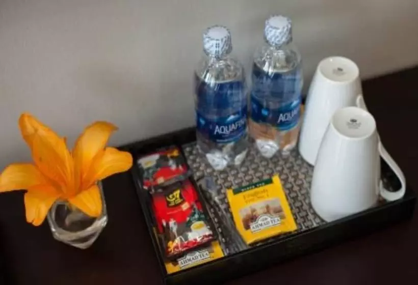 A25 Hotel   29 Thác Bạc Sapa