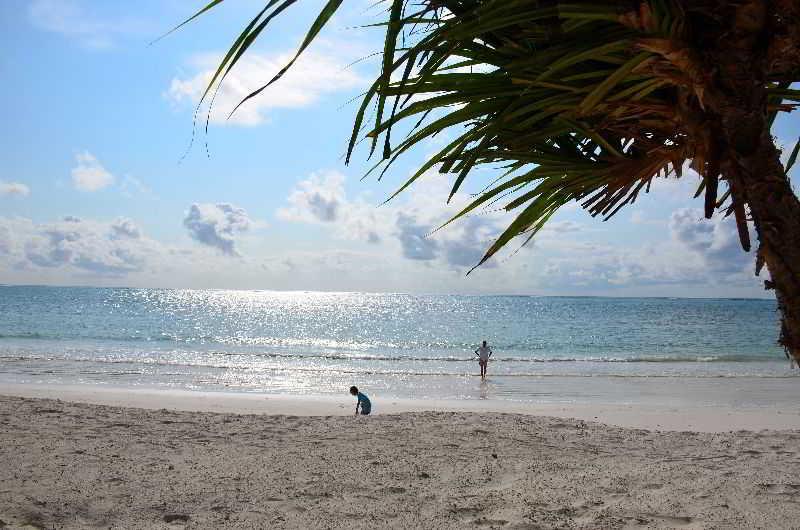 בית מלון כפרי Indigo Beach Zanzibar