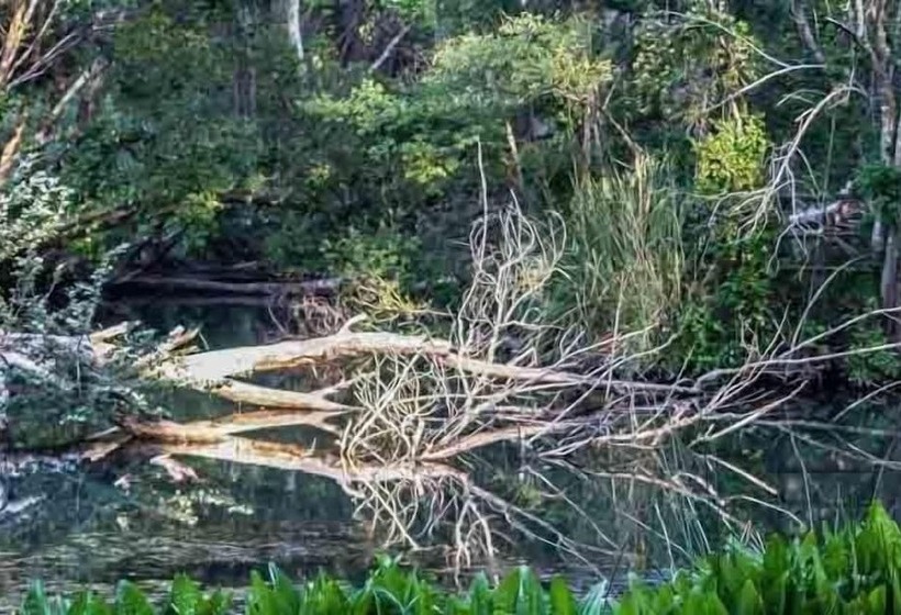 酒店 Valley Lodge & Spa