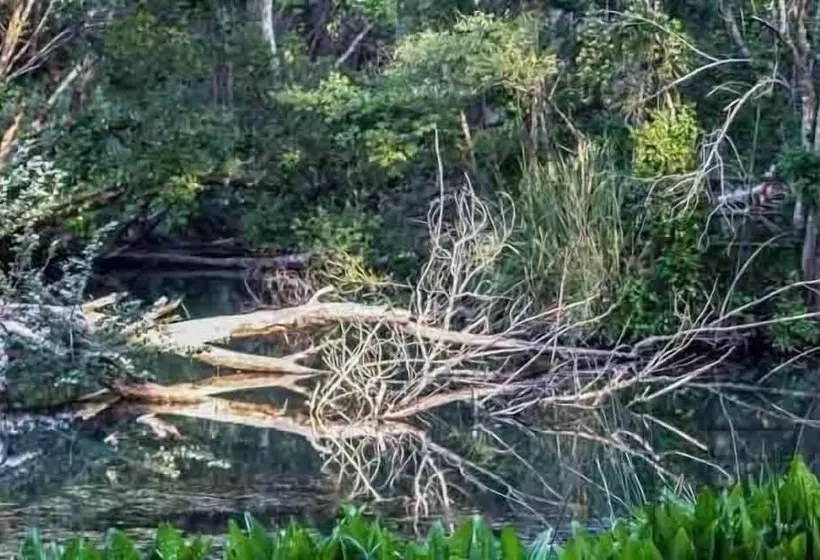 호텔 Valley Lodge & Spa