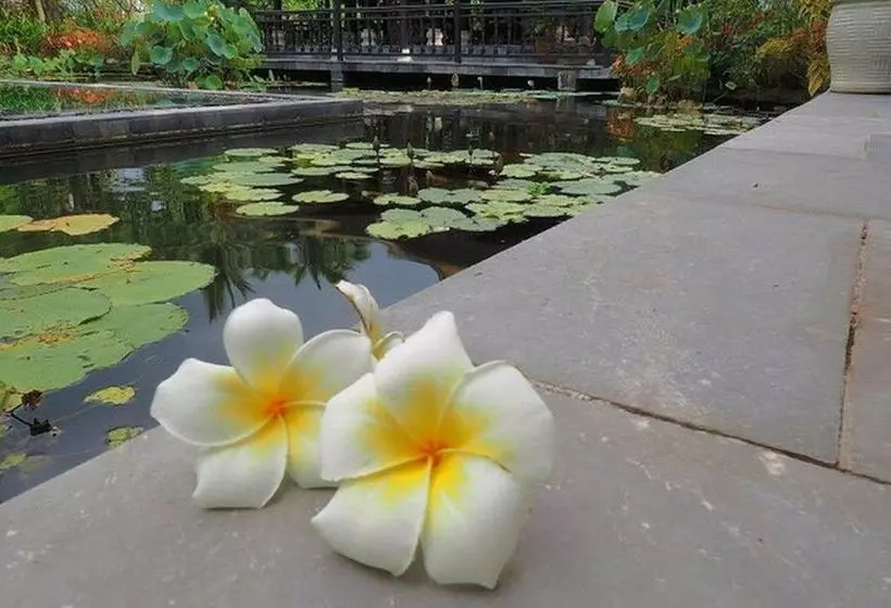هتل Villa Hoa Su   Frangipani Village Resort