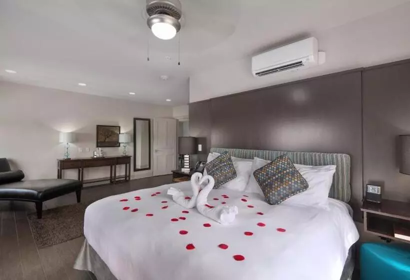 בית מלון כפרי White House