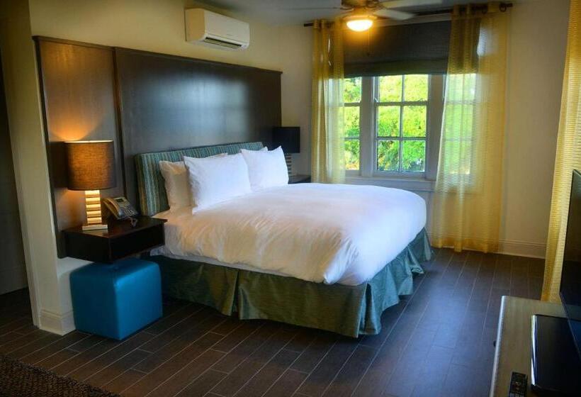 فندق White House