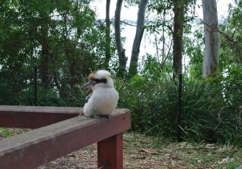 Huskisson Beach Motel