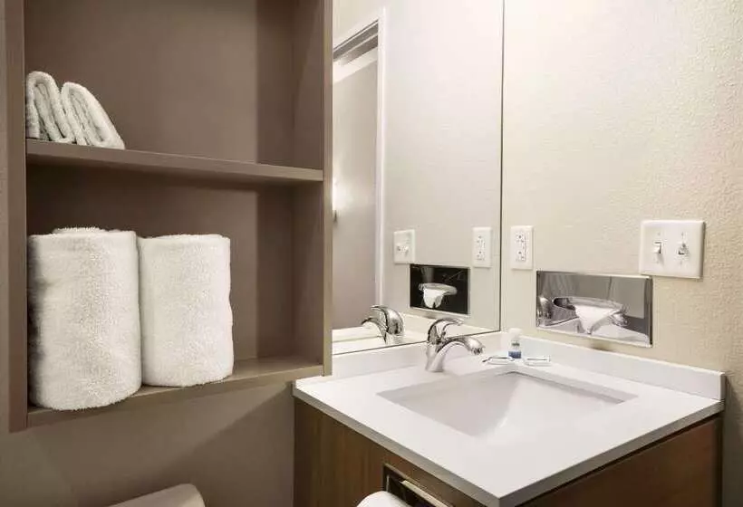 Microtel Inn & Suites By Wyndham