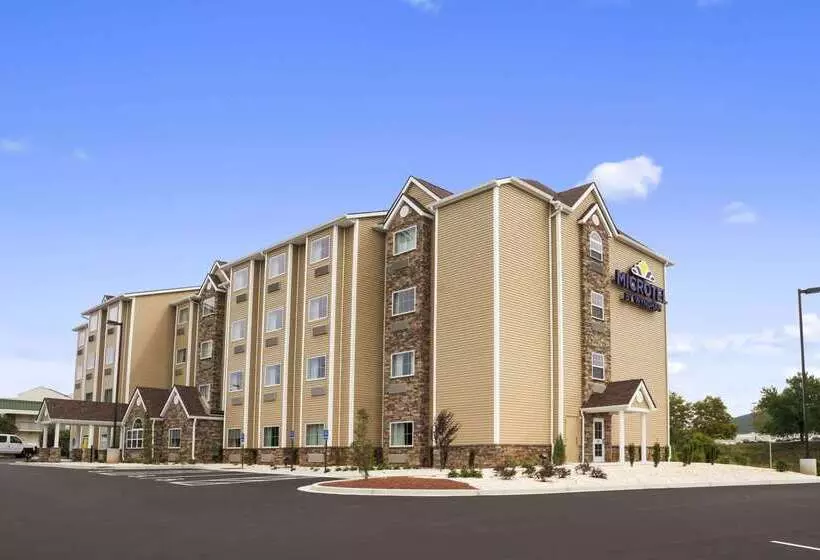 Microtel Inn & Suites By Wyndham