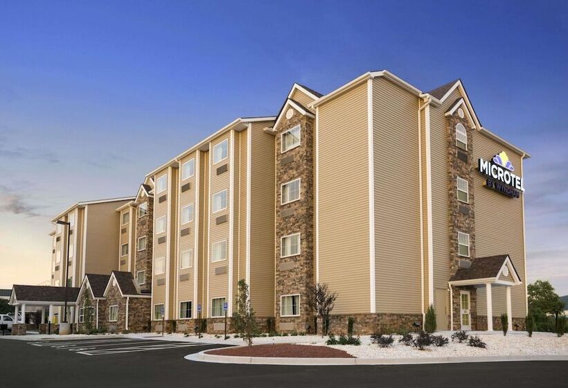 Microtel Inn & Suites By Wyndham
