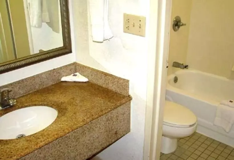 汽车旅馆 Delta Inn