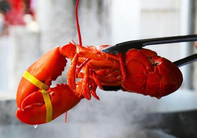 The Cliff House Resort And Spa