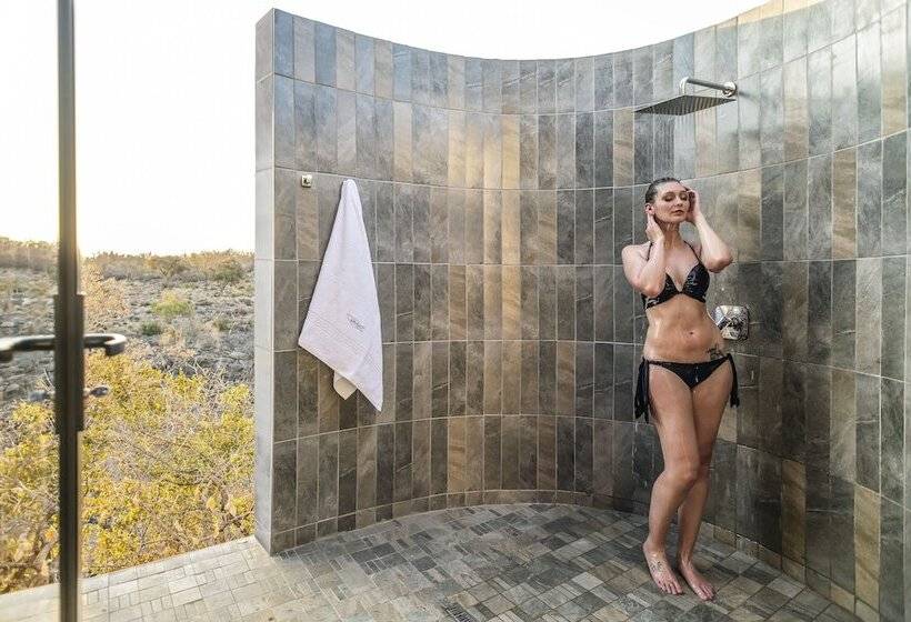 Отель Ingwe Lodge