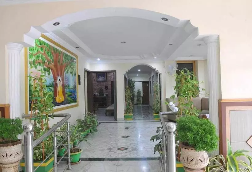 فندق Delta International