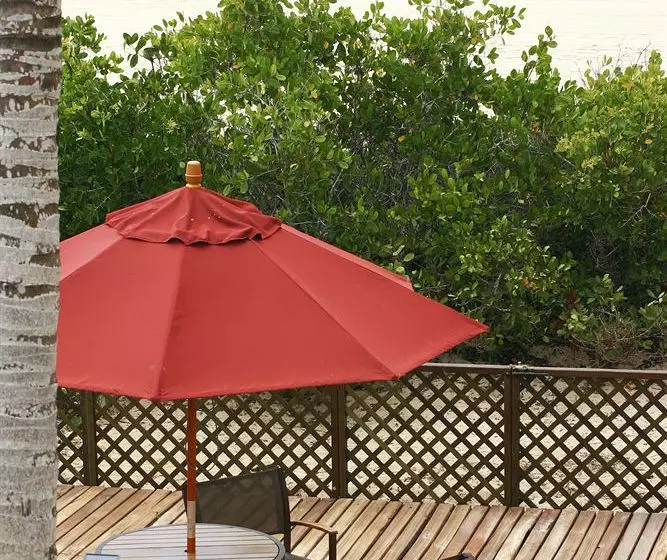 ホテル Red Mangrove Lodge Isabela