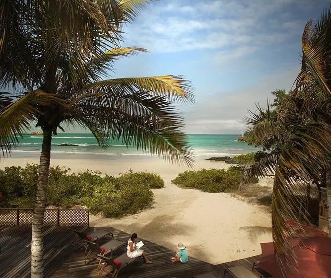 ホテル Red Mangrove Lodge Isabela