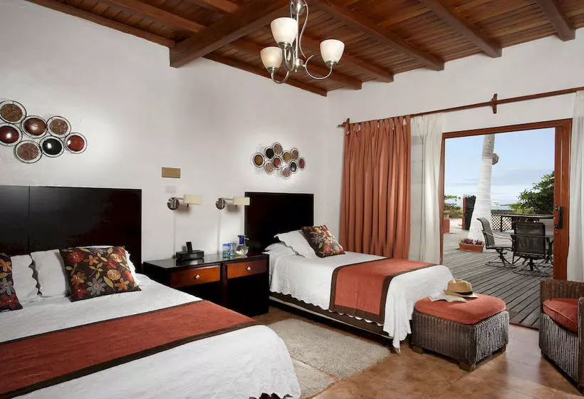 ホテル Red Mangrove Lodge Isabela