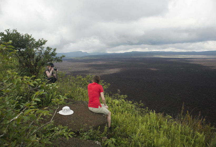 호텔 Red Mangrove Lodge Isabela