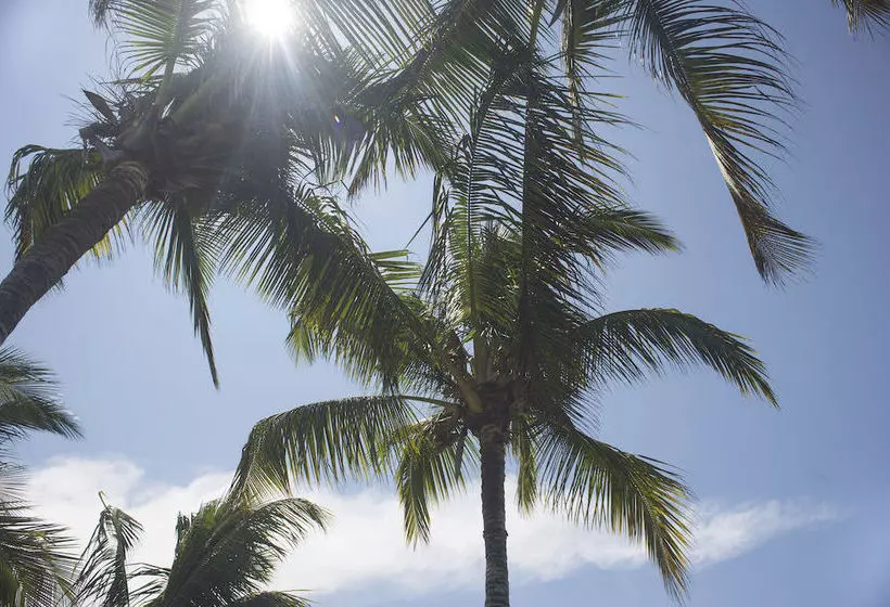 ホテル Red Mangrove Lodge Isabela