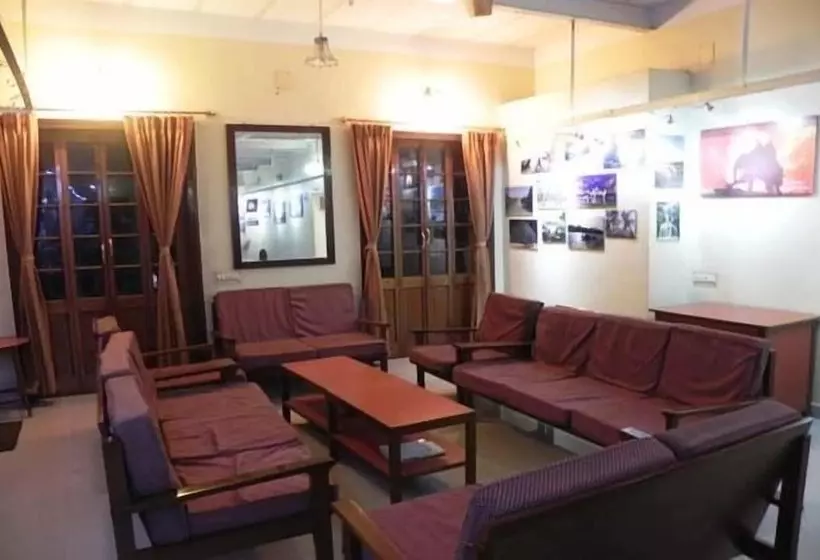 Отель Sunflower Guesthouse