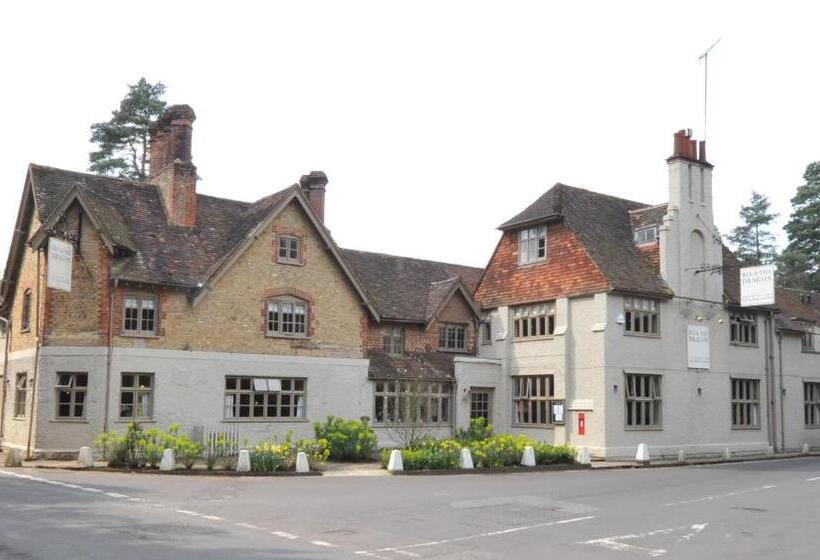 호텔 Bel And The Dragon Churt