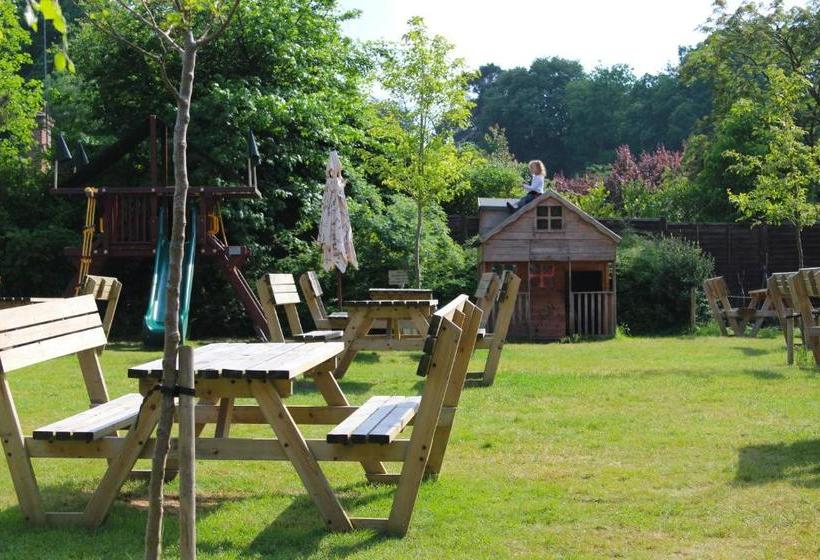 호텔 Bel And The Dragon Churt