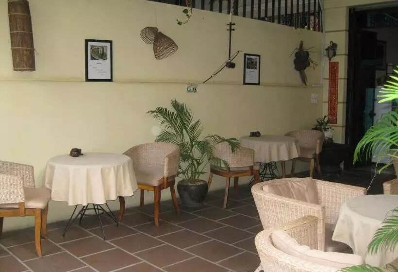 בית מלון כפרי Comfort House