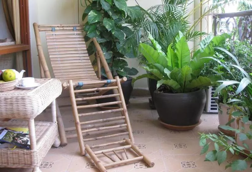 בית מלון כפרי Comfort House