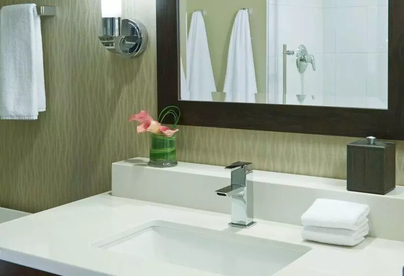 Отель Hyatt Regency Atlanta Perimeter At Villa Christina