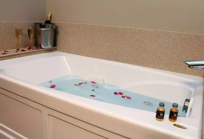 Otel Scholar Morgantown, Tapestry Collection By Hilton