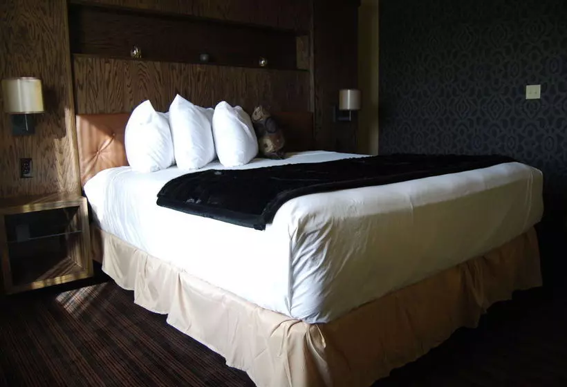 Otel Scholar Morgantown, Tapestry Collection By Hilton