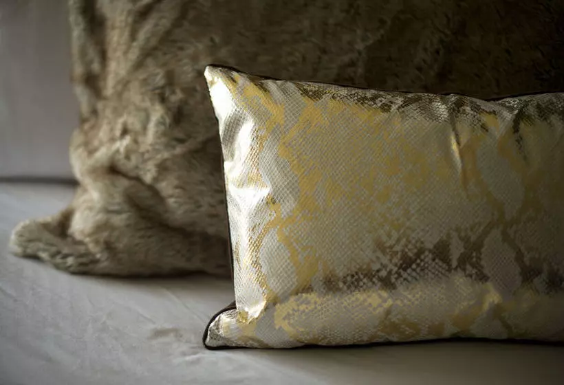 Otel Scholar Morgantown, Tapestry Collection By Hilton