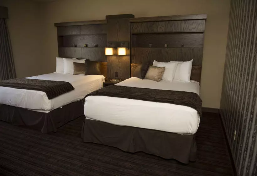 Otel Scholar Morgantown, Tapestry Collection By Hilton