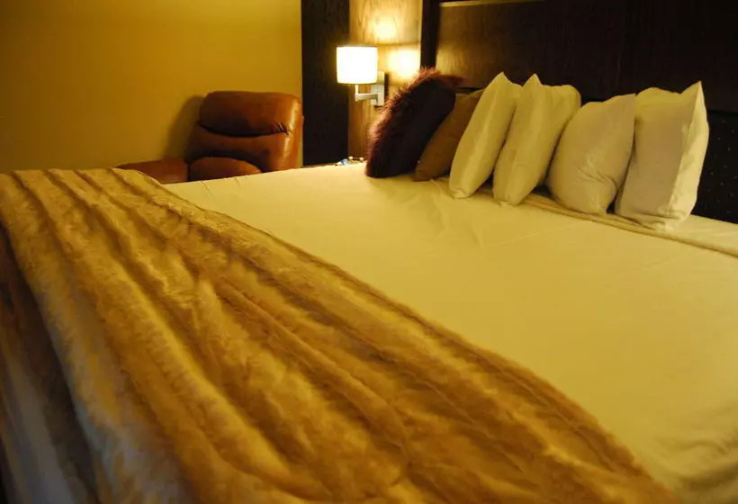 Otel Scholar Morgantown, Tapestry Collection By Hilton