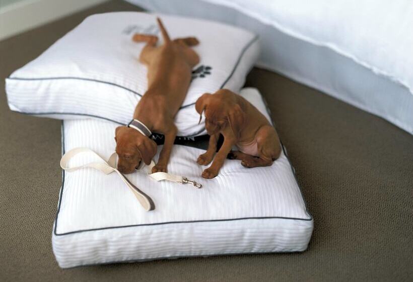 فندق The Westin Wilmington