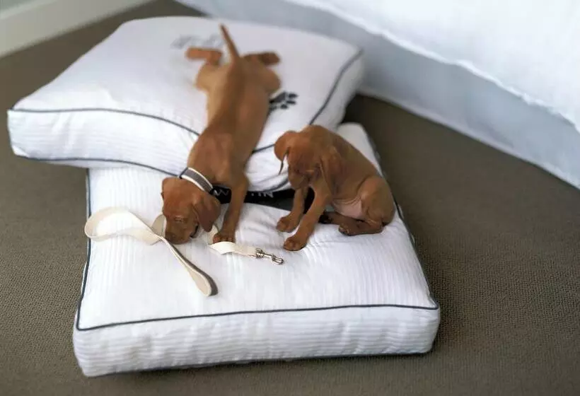 ホテル The Westin Wilmington