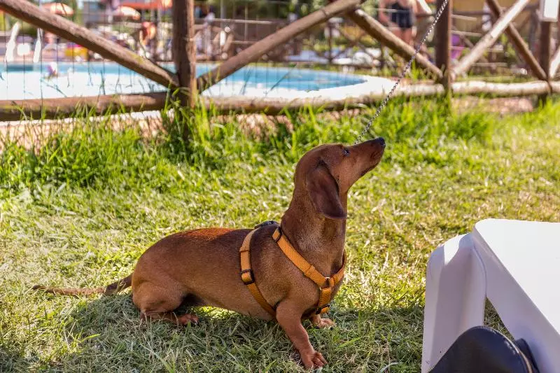 Отель Villaggio Mare Si