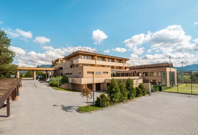 Wellness Hotel Diplomat