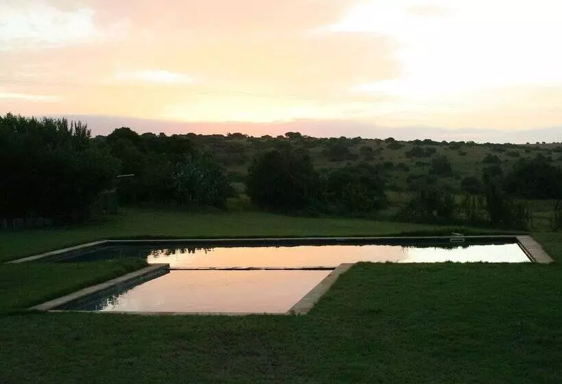 Leeuwenbosch Country House   Amakhala Game Reserve