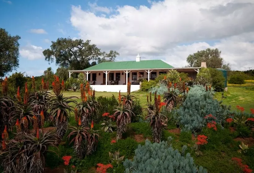 Leeuwenbosch Country House   Amakhala Game Reserve